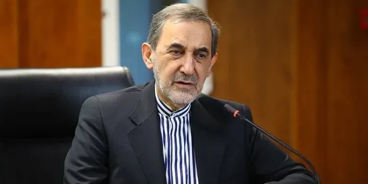 دکتر ولایتی: در دعوای فیلها علفها له میشوند!