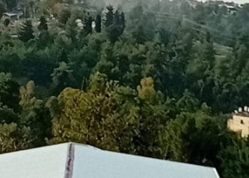فرقه بی‌بی نمی‌خواهد بیدار شود
