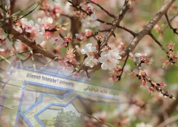 دعای رئیس دانشگاه علامه برای آرامش جامعه دانشگاهی و رهایی ایران از شر مستکبران