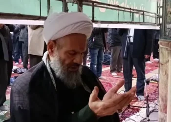 عضو مجلس خبرگان: حضور مردم در میدان، معجزه الهی است