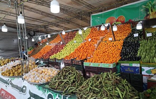 غرفه‌های عرضه مستقیم پروتئین و میوه و تره‌بار در البرز توسعه می‌یابد