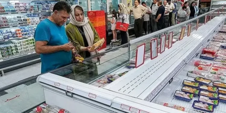 قیمت جدید مرغ اعلام شد | طلاکش: بالاتر از این قیمت مرغ نخرید