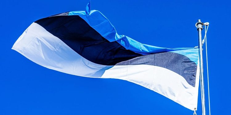 رویکرد تکنورئالیستی به سواد هوش مصنوعی در مدارس استونی