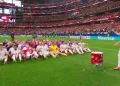 ببینید / زیبایی خالص پس از پیروزی؛ بازهم شادی جذاب وایکینگی نروژیها