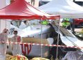 سقوط هواپیمای آموزش چتربازی در فرانسه؛ خانواده‌ها شاهد جان‌باختن تمامی ۱۱ سرنشین بودند