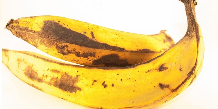چه موقع خوراکی‌ها را باید دور انداخت؟ با ۴ نشانه فاسد شدن مواد غذایی آشنا شوید
