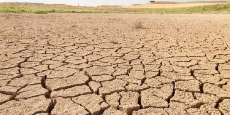 پیشروی بیابان در عراق به تهدیدی برای امنیت غذایی و ثبات اقتصادی تبدیل شده است