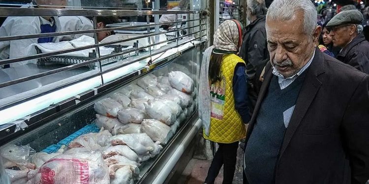 دبیرکل فدراسیون طیور: احتمال افزایش قیمت مرغ تا آستانه ۴۰۰ هزار تومان در روزهای منتهی به ماه محرم/ بخشی از واحدهای کوچک پرورش مرغ گوشتی به دلیل مشکلات شدید نقدینگی، تعطیل شدهاند/ با توجه به اینکه مصرف حدود ۲۵ تا ۳۰ درصد کاهش یافته، تولید نیز تقریبا به همان میزان افت کرده