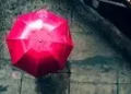 وضعیت هوای فردا گیلان سه شنبه ۲۶ خرداد ۱۴۰۵ | پیش بینی آب و هوا گیلان در ۲۴ ساعت آینده + هواشناسی گیلان