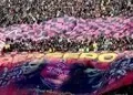 پرسپولیس در بحبوحه جام جهانی اولین خریدش را قطعی کرد