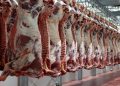 عراق در میان بزرگ‌ترین واردکنندگان گوشت جهان در سال 2025
