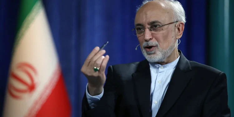 چه شد که ایران، سراغ غنی‌سازی ۶۰ درصدی رفت؟/ دکتر علی اکبر صالحی در گفت‌وگو با «انتخاب» توضیح داد