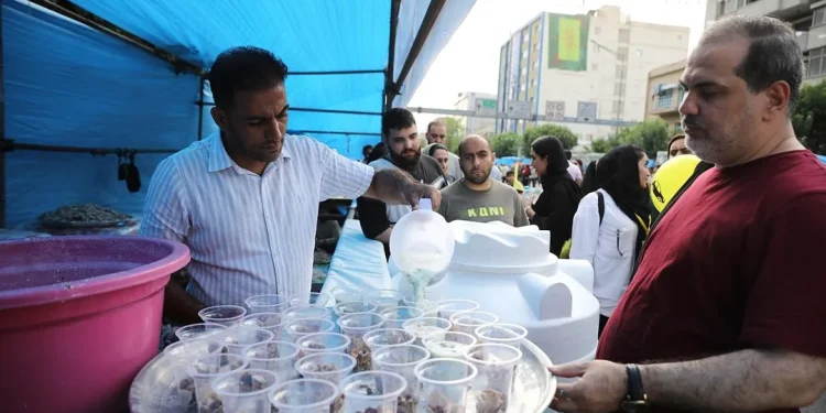 شهرداری تهران: در مسیر تشییع رهبر شهید موکب مستقر نمیشود / حداکثر خدمات ارائهشده در این مسیر، توزیع آب خواهد بود