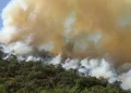 استاندار خوزستان در پی تداوم آتش‌سوزی در منطقه خاییز و تشدید شرایط ناشی از وزش باد، خواستار اعزام بالگرد آب‌پاش شد