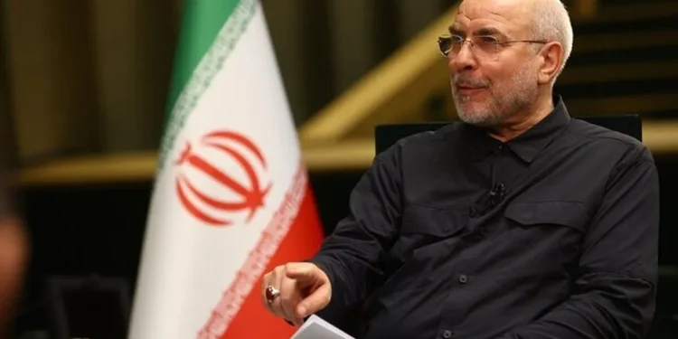 قالیباف: به خاطر مشکلات سیاسی با منِ قالیباف، حقوق ملت را از بین نبرید/ کسانی که حرف ترامپ فاسق را قبول می‌کنند یک‌بار حرف برادر دینی خود را بشنوند/از مجموع ۲۴ میلیارد دلار دارایی ما، قرار است ۱۲ میلیارد دلار در اختیار بانک مرکزی قرار بگیرد تا هر کالایی را که لازم دارد خریداری کند