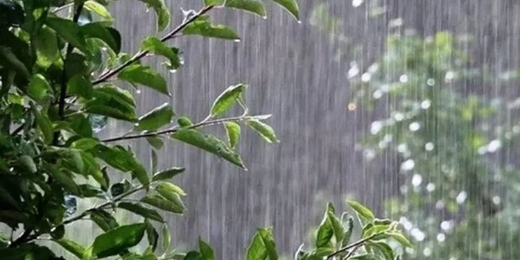 وضعیت آب و هوا، امروز ۹ تیر ۱۴۰۵؛ رگبار و رعد و برق در ۱۰ استان نوار شمالی کشور