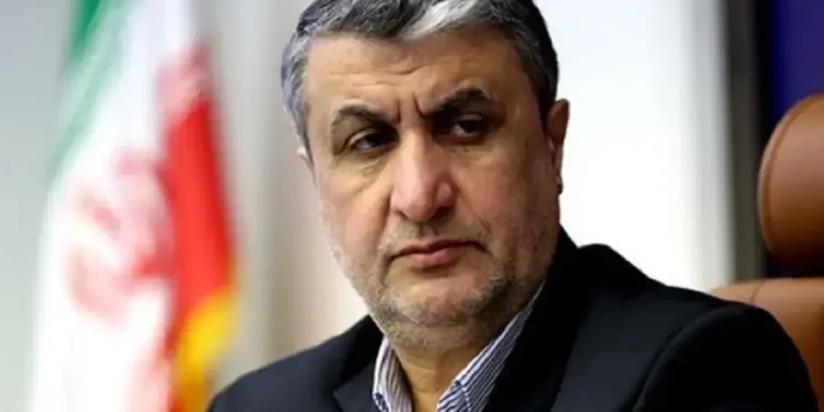 رئیس سازمان انرژی اتمی از طرحی بزرگ خبر داد