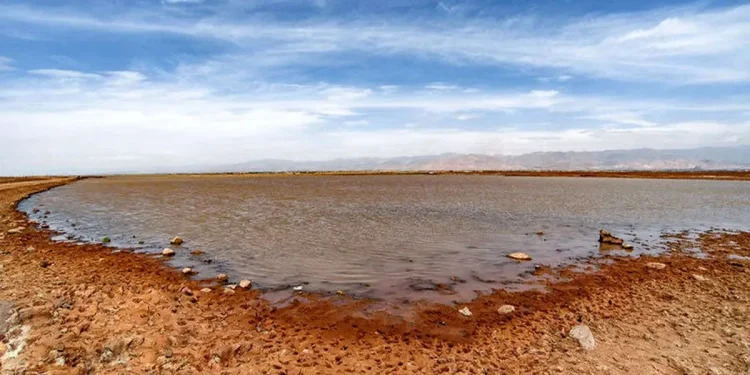 مدیر مطالعات تالاب صالحیه: غبار محلی ناشی از تالاب صالحیه امروز به سمت نظرآباد، کرج و تهران حرکت خواهد کرد/ فردا نیز تقریباً همین الگوی جوی تکرار خواهد شد/ شدت این ریزگرد‌ها به اندازه‌ای نیست که کاهش شدید دید افقی را ایجاد کند