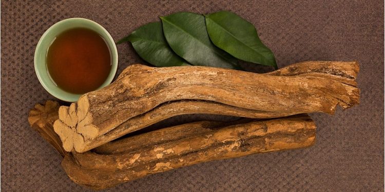 دمنوش آیاهواسکا؛ روان‌گردان یا زمینه‌ساز یک «بیداری معنوی»؟