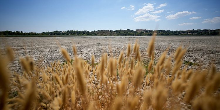 تابستانهای سوزان و خشک؛ گرما متهم اصلی خشکسالیهای اروپا، نه کمبود باران