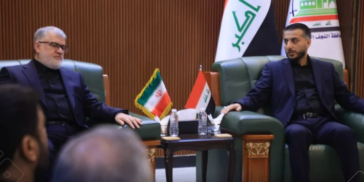 نجف و تهران هماهنگی مشترک برای موفقیت آمیز بودن زیارت اربعین را بررسی کردند