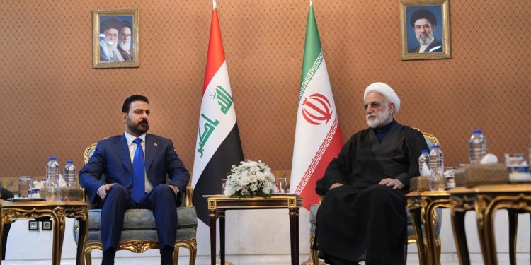 در دیدار الزیدی با رئیس قوه قضائیه ایران عنوان شد؛اعلام آمادگی ایران برای همکاری با عراق در زمینه مبارزه با فساد