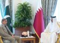 امیر قطر و شهباز شریف بر لزوم تداوم مذاکره میان ایران و امریکا تاکید کردند