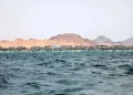 سی‌ان‌ان‌: تردد کشتی‌ها از تنگه باب‌المندب طی این آخر هفته کاهش یافت، زیرا شرکت‌های کشتیرانی در حال ارزیابی مجدد خطرات امنیتی پس از حملات [انصارالله] یمن به کشتی‌های عربستانی هستند