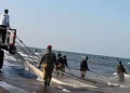 مدیرکل شیلات هرمزگان: با وجود شرایط حساس کشور، روند صید و تأمین آبزیان بدون وقفه ادامه دارد