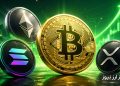 پایان موج فروش در بازار کریپتو؟ ۳ آلت‌کوین بزرگ سیگنال خرید دادند