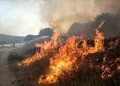 محیط‌زیست خوزستان: حریقی در محدوده تالاب هورالعظیم رخ نداده/ آتش‌سوزی در محدوده انتهایی کانال زهکش المهدی به وقوع پیوسته