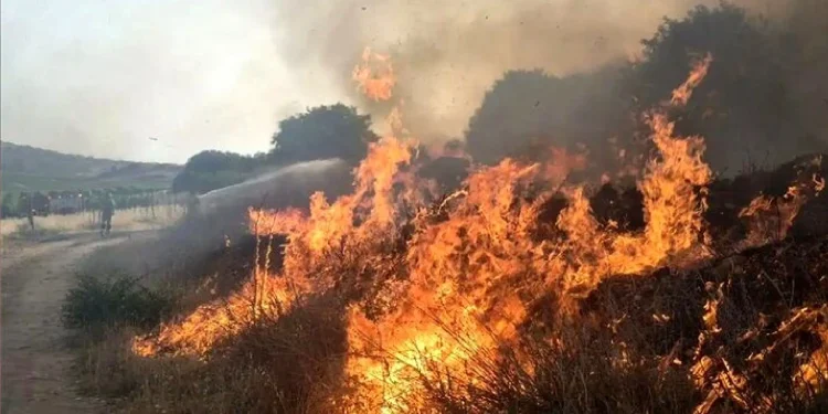 محیط‌زیست خوزستان: حریقی در محدوده تالاب هورالعظیم رخ نداده/ آتش‌سوزی در محدوده انتهایی کانال زهکش المهدی به وقوع پیوسته