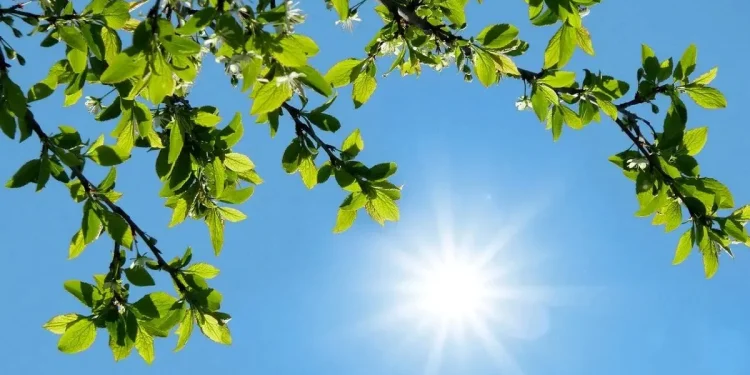 وضعیت آب و هوا، امروز ۲۸ تیر ۱۴۰۵؛ دمای نیمه شمالی کشور کاهش مییابد/ پیشبینی باران در ارتفاعات البرز و جنوب شرق