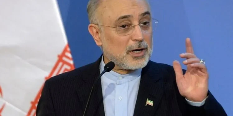 علی‌اکبر صالحی: عبور از بحران‌های منطقه تنها با عقلانیت، حکمت، گفت‌و‌گو و دیپلماسی امکان‌پذیر است / اگر کشور‌ها در پی توسعه هستند، ناگزیر باید همه تلاش خود را برای برقراری ثبات در منطقه به کار گیرند / سوءتفاهم‌ها همواره از طریق گفت‌و‌گو قابل حل‌وفصل است؛ زمان آن فرا رسیده است که کشور‌ها «بازی مقصرنمایی» را کنار بگذارند، بر سر میز گفت‌و‌گو بنشینند