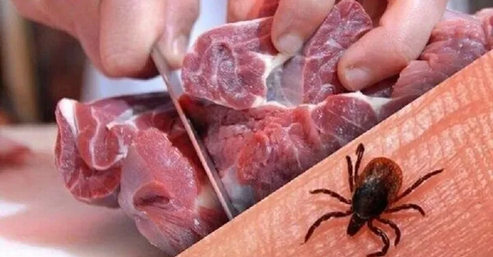 افزایش مبتلایان به تب کریمه-کنگو در افغانستان