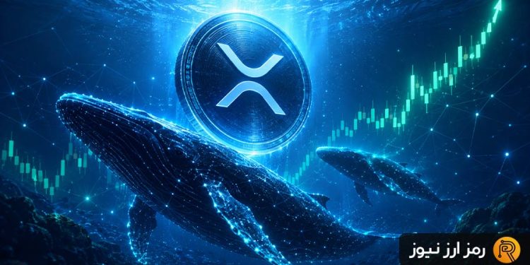 رد پای پول‌های بزرگ در بازار ریپل؛ نهنگ‌ها جرقه رالی بزرگ XRP را می‌زنند؟