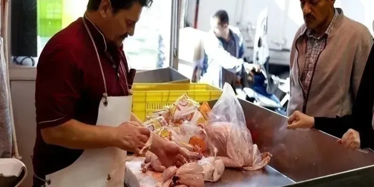 قیمت مرغ امروز دوشنبه ۱۹ مرداد ۱۴۰۵