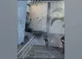 ببینید / از لحظه ترک خوردن دیوار تا ریزش ساختمان ها در زلزله مهیب در کلمبیا