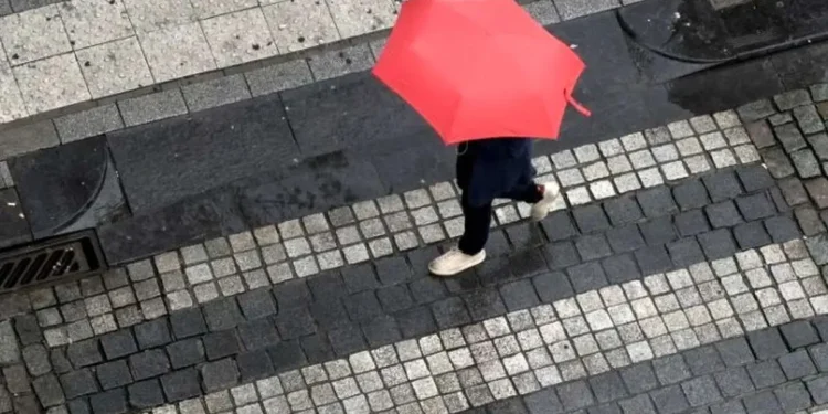 هواشناسی: رگبار و رعد و برق در شمال و ارتفاعات کشور/ وزش باد شدید در تهران