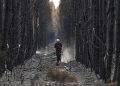 آتشسوزیهای گسترده در اروپا؛ مهار حریق در فرانسه، ادامه بحران در یونان
