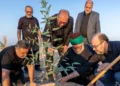 آغاز ایجاد کمربند سبز به طول 90 کیلومتر در کربلا