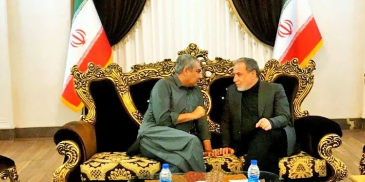 گفت وگوی عراقچی با وزیر کشور پاکستان در فرودگاه مشهد