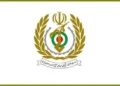 وزارت دفاع: اقتدار و امنیت پایدار ایران، حاصل هم‌افزایی میدان، خیابان و دیپلماسی است