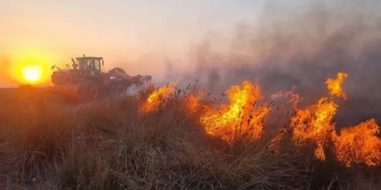 مدیریت بحران: آتش میانکاله مهار شد/ با توجه به حجم آتش‌سوزی، یک لودر و دو تراکتور در حین عملیات اطفاء دچار حریق شدند، اما مصدومی گزارش نشد/ احتمال شعله‌وری مجدد آتش وجود دارد