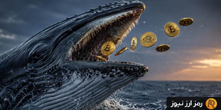 نهنگ ۱۵ ساله بیت‌کوین بیدار شد؛ ۴۰ میلیون دلار BTC جابه‌جا شد!