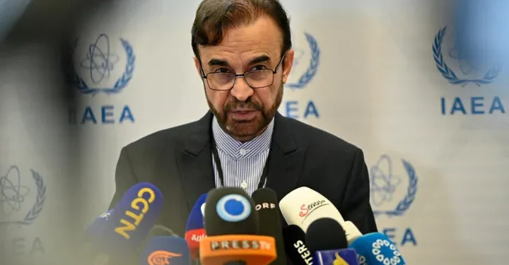 نماینده ایران در آژانس: تهران به عضویت کمیته عمومی کنفرانس سالانه آژانس اتمی درآمد / تعدادی از کشور‌ها با حمایت ما درخواست برگزاری رای‌گیری مخفی کردند