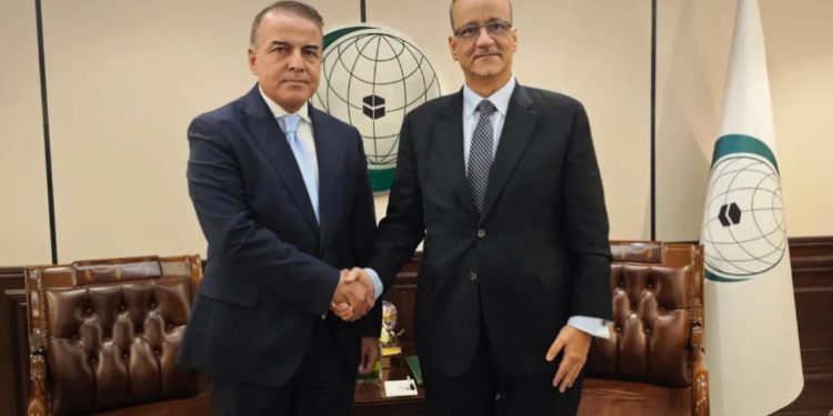 رایزنی دبیرکل سازمان همکاری اسلامی با نماینده دائم عراق درباره تمهیدات پنجاه‌ودومین نشست وزرای خارجه