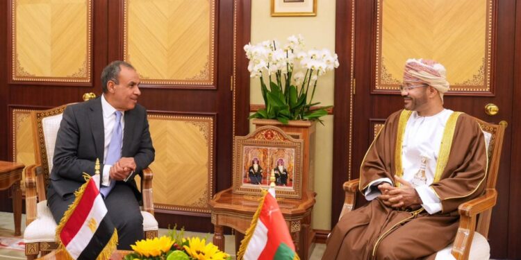 تاکید وزیر خارجه مصر بر اهمیت بازگشت به مذاکرات میان امریکا و ایران