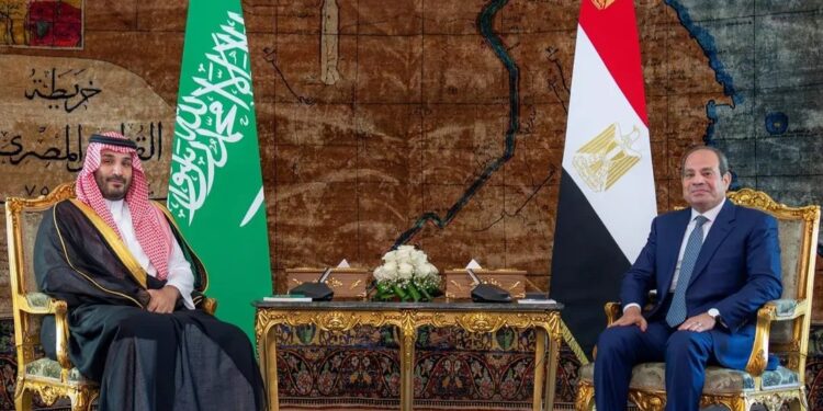 تاکید مصر و عربستان بر اهتمام به تضمین آزادی و امنیت کشتیرانی در تنگه‌های هرمز و باب المندب و دریای سرخ