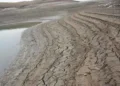 ۷۰ درصد هورالعظیم خشک شده است